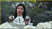 Little Beau Sheep, Ilkley: Countryfile-featured owner Sarah Turner inspired by Yorkshire farms and sheep to create wool tumble dryer balls and wool soap