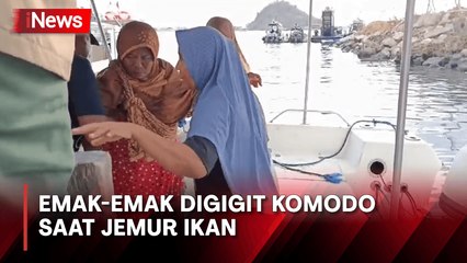 Kronologi Emak-Emak Digigit Komodo saat Jemur Ikan di Pulau Rinca