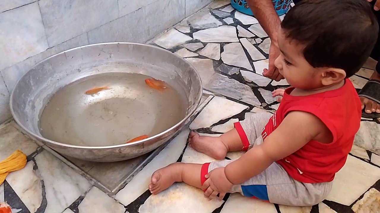 Wahaj baby 