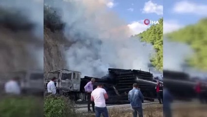 Tomruk yüklü tır alevlere teslim oldu