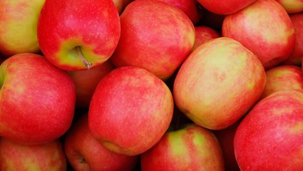 The Best Apples For Eating