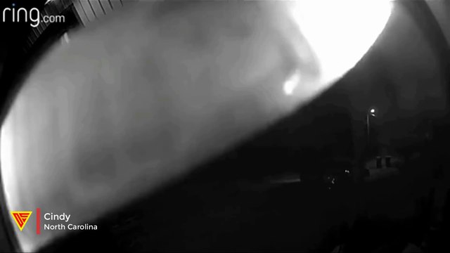 Ring Doorbell Camera Captures a Snake Slithering Along Doorway | Doorbell Camera Video