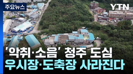 '악취·소음' 때문에...청주 도심 우시장·도축장 사라진다 / YTN