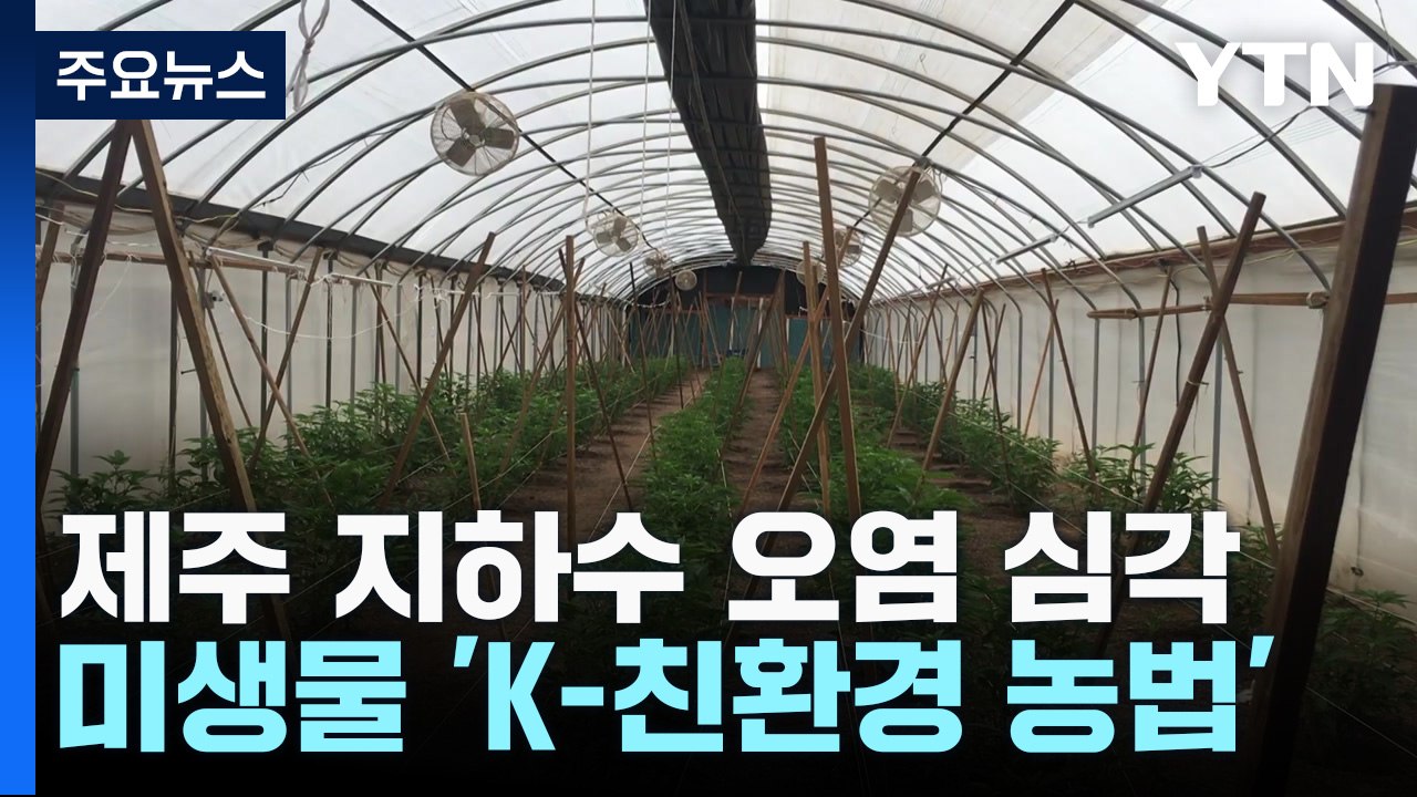미생물 'K-친환경 농법'... 오염 감소·소출 증대로 수출까지! / YTN