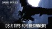 5 Beginner Tips for Dark Souls: Remastered | Vaatividya