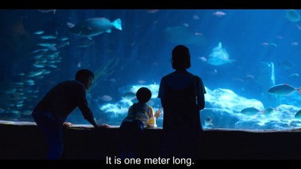 Mـoـvـe tـo Hـeـaـvـeـn ep 10 eng sub