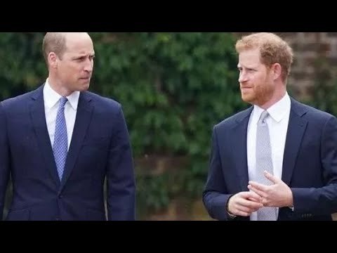L'enchevêtrement émotionnel du prince Harry et William aurait laissé la princesse Diana mortifiée