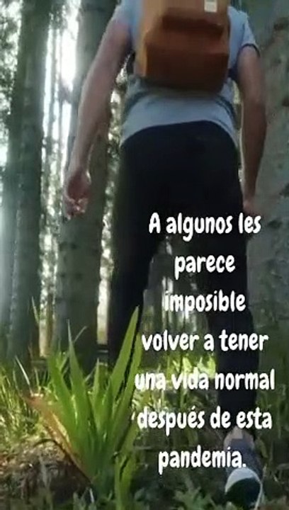 PODREMOS VOLVER A LA NORMALIDAD?...