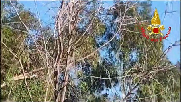 Cutro, bovino caduto in un dirupo recuperato con un elicottero dai Vigili del fuoco