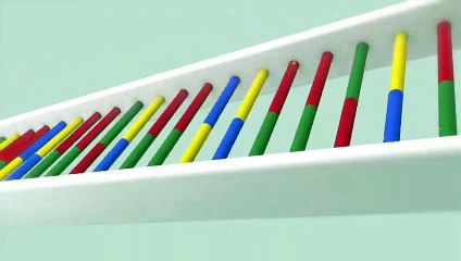 As vacinas com RNA mensageiro