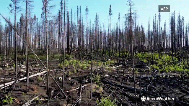 Devastation left behind by historic wildfire season in Québec