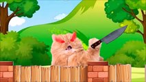 Two Cats on the wall (animation), The Cats have fun