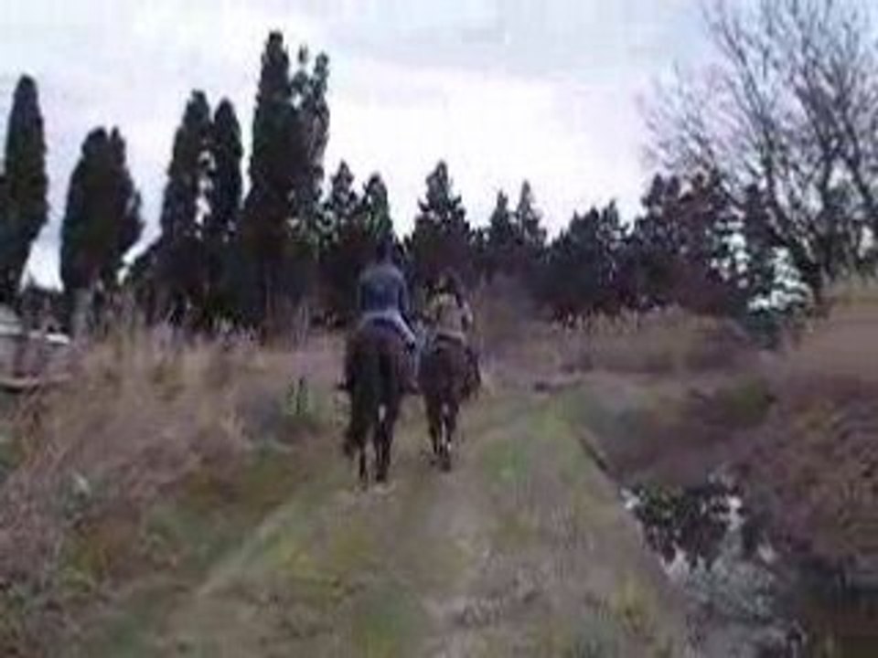 BALLADE A CHEVAL