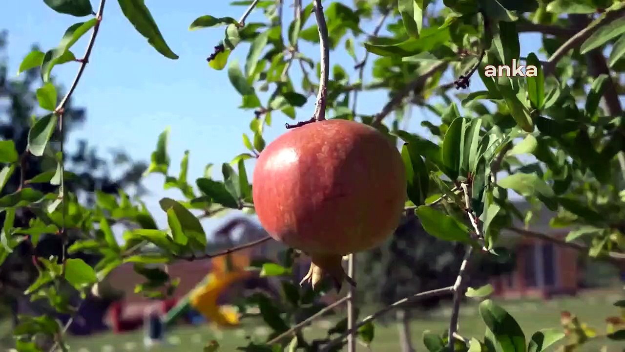 Mezitli Belediyesi Mutlu Yaşam Köyü'nde konaklama kapasitesini arttırdı