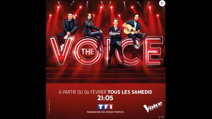The Vivi (The Voice) : pourquoi son K.O n’a pas été diffusé