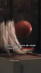 Una pluma y bola de boliche caen increíblemente a la misma velocidad