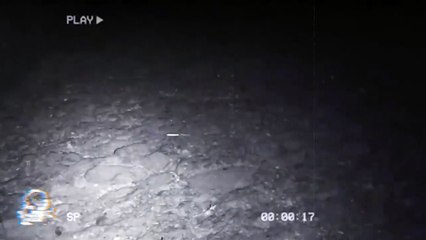 EL POZO DE LA MALDAD (Relatos De Terror)