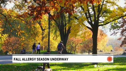 Why allergies get worse for many people in the fall and what you can do about it