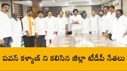 కృష్ణా జిల్లా: పవన్ కళ్యాణ్ ని కలిసిన కృష్ణాజిల్లా టీడీపీ ముఖ్య నేతలు