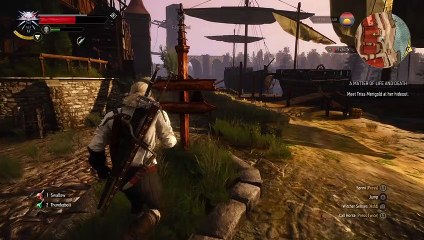 The Witcher 3 : Wild hunt | A matter of life and death part 1