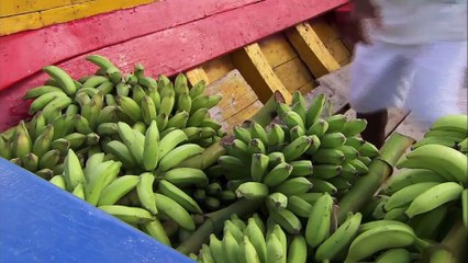 Amazing Quest - Stories from Brazil - Somewhere on Earth