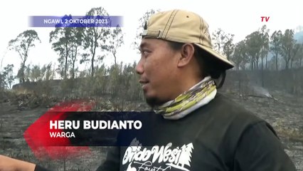 Begini Dampak Kebakaran Gunung Lawu yang Mencapai Ratusan Hektar