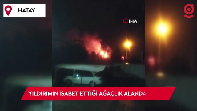 Yıldırımın isabet ettiği ağaçlık alan alevlere teslim oldu
