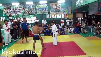 Karate vs Muay Thai