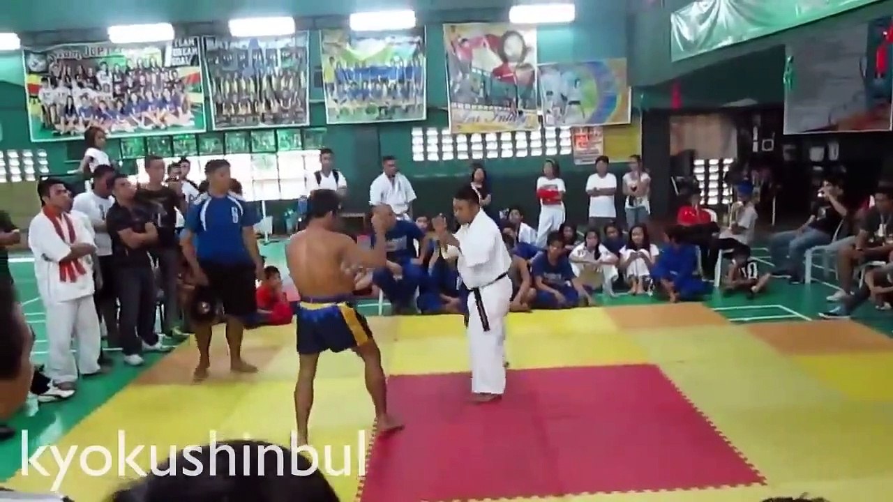 Karate vs Muay Thai