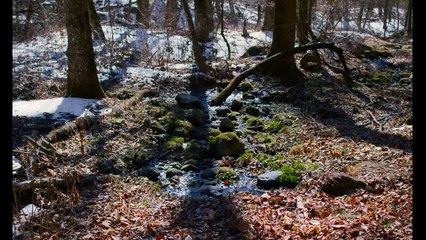 Kötülük Diye Bir Şey Yok Fragman