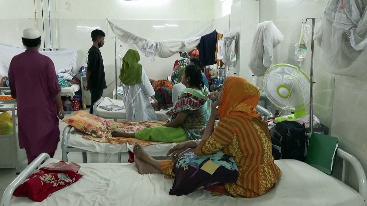 Bangladés vive su peor epidemia de dengue con más de 1.000 muertos este año