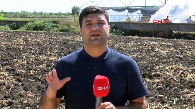 Adana'da Şiddetli Yağış ve Fırtına Sonucu Su Baskınları ve Zararlar