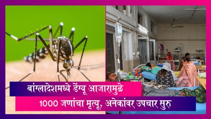 Bangladesh: बांग्लादेशमध्ये डेंग्यू आजारामुळे 1000 जणांचा मृत्यू, अनेक रुग्णांवर उपचार सुरु
