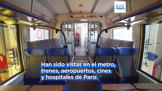 Francia lucha contra una invasión de chinches detectada en metros, trenes y aeropuertos