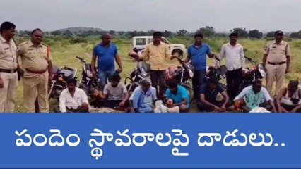 నాగర్ కర్నూల్: పందెం కోళ్ల స్థావరాలపై పోలీసుల దాడులు