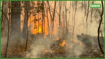 Australie: des pompiers sur les lieux d'un feu de forêt