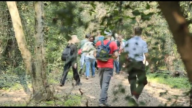 Prada in soccorso del Parco Nord Milano con 300 nuovi alberi