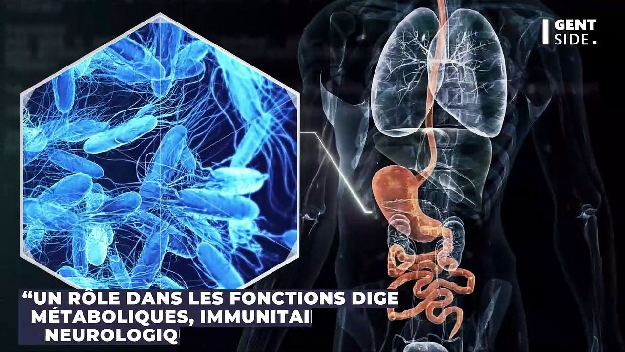 Cette partie de votre corps survit après votre décès, d’après une étude