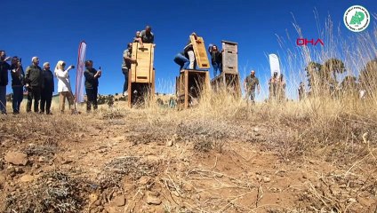 Les cerfs élaphes de Bursa ont été transportés à Burdur