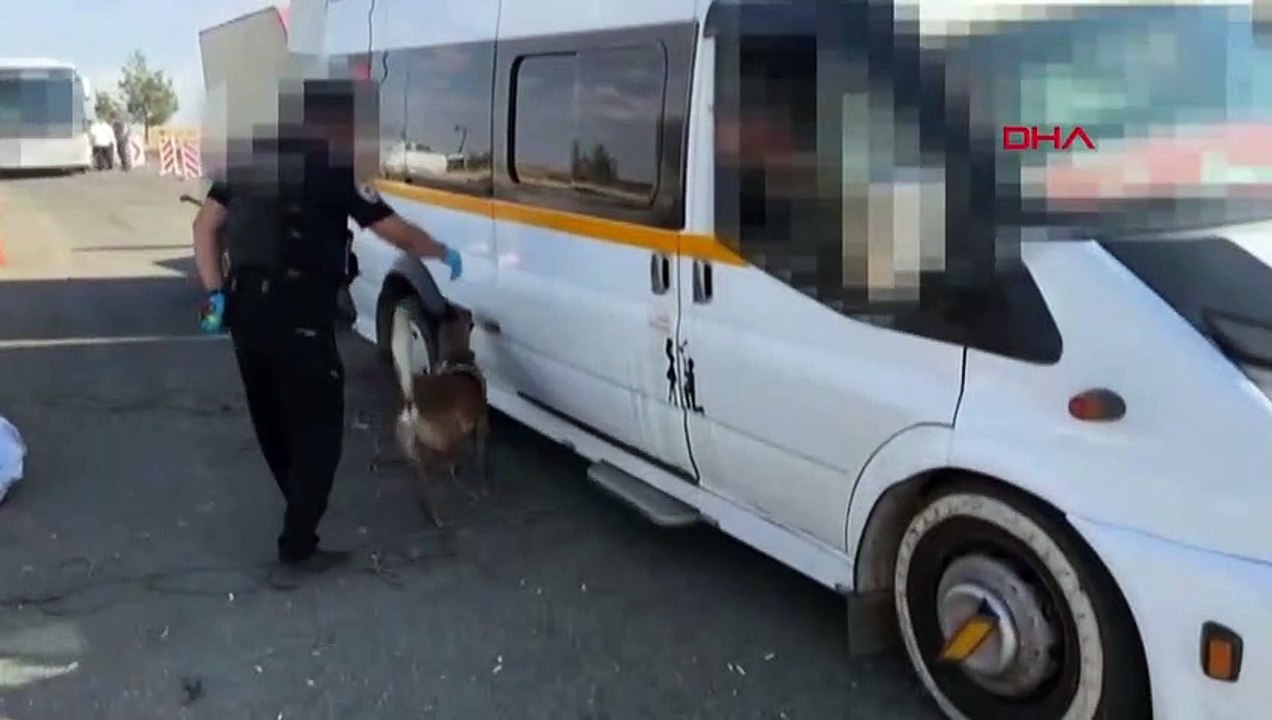 170 kilos de Skunk et 8,5 kilos de marijuana ont été saisis à Gaziantep