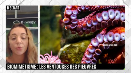 SMART TECH - Un adhésif inspiré par les ventouses des pieuvres !