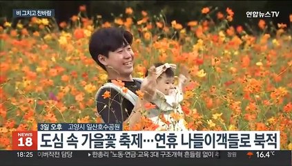 도심 속 가을꽃 나들이…비 그치고 찬바람 쌩쌩
