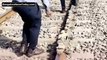 Vande Bharat operators stop train after spotting stones in Rajasthan
