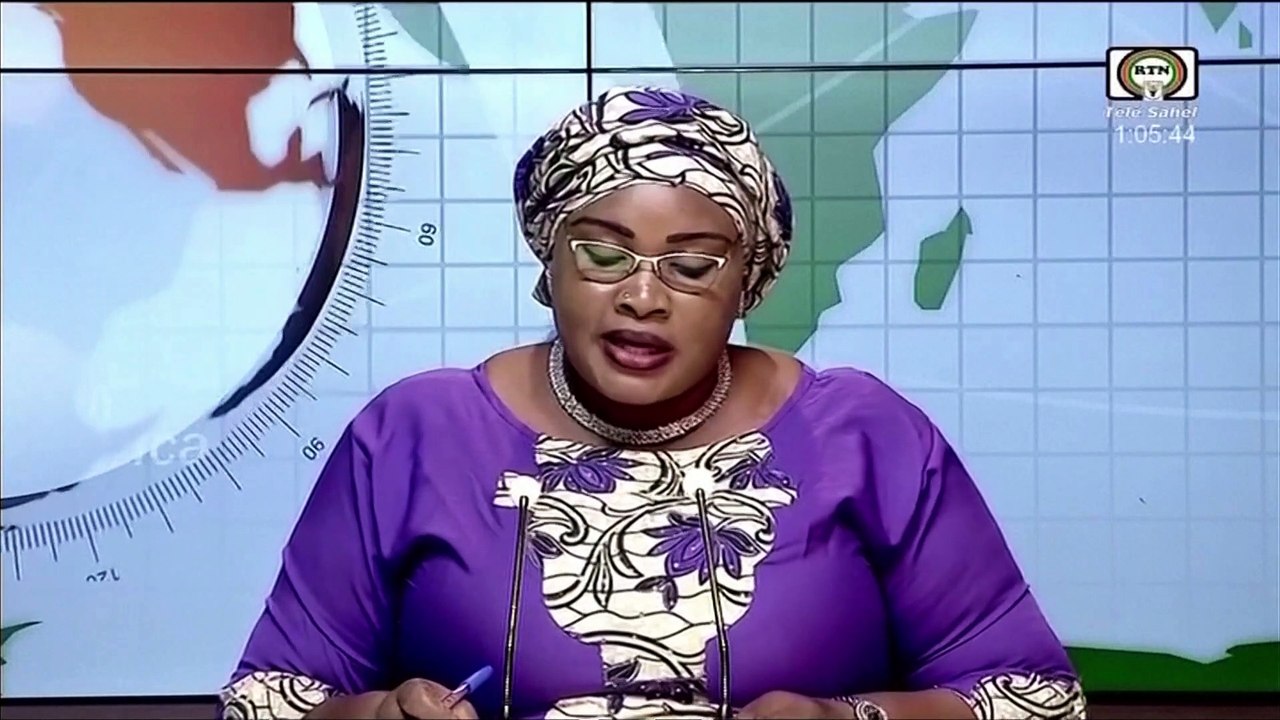 Niger says 29 soldiers killed in attack near Mali border