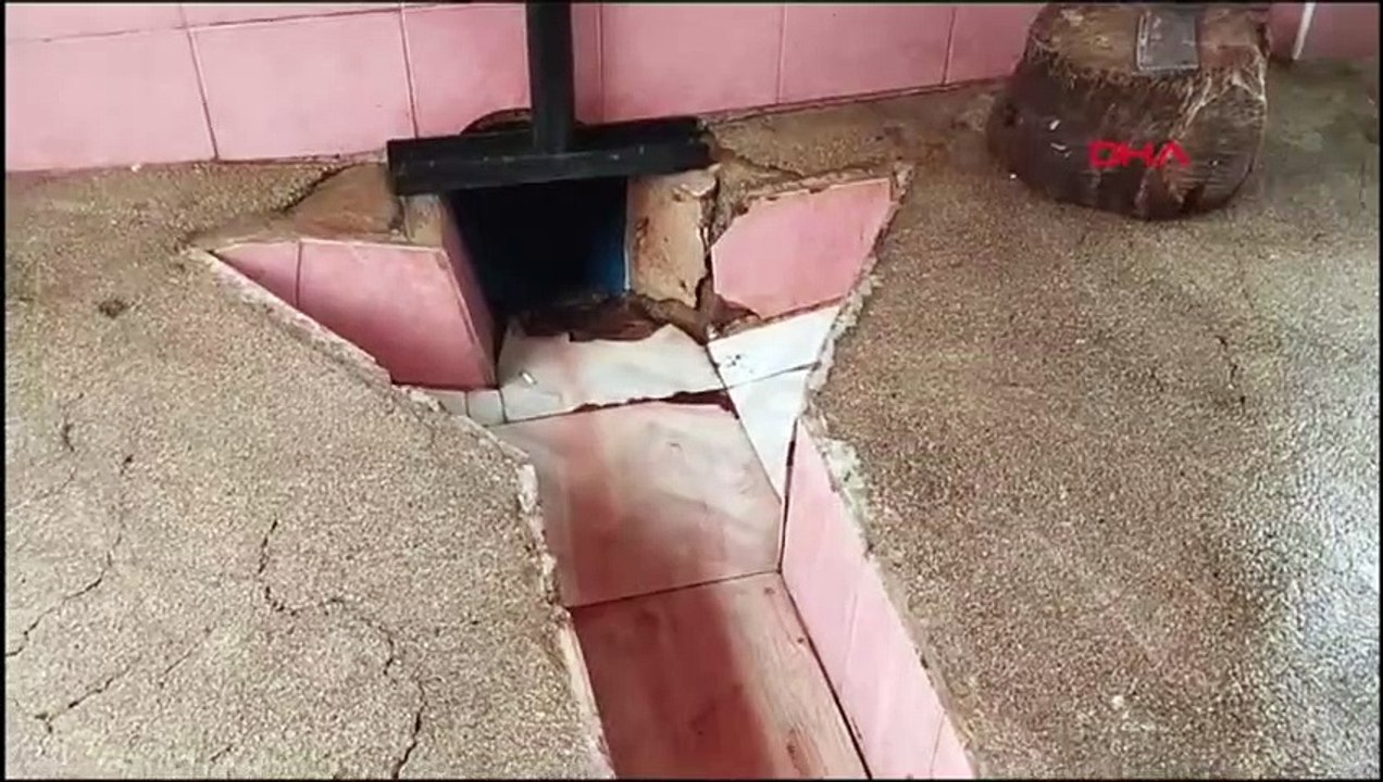 Des ours et d'autres animaux sauvages se nourrissent sur la montagne Düzgün Baba