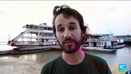 Brésil : plus de 120 dauphins roses retrouvés morts