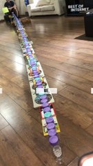 120 Cups, 1 Ping Pong Ball: Guinness World Record Attempt! || Best of Internet