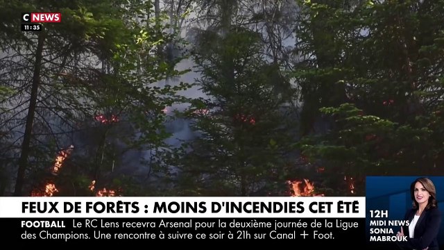 Feux de forêts: La France relativement épargnée par les incendies de l’été par rapport à l'an dernier malgré un nombre élevé de départs de feux - VIDEO
