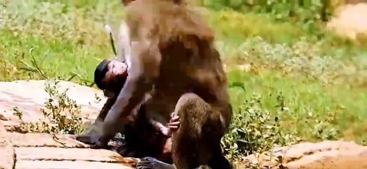 From a young age,baby monkeys have to practice water survival skills.Part 02