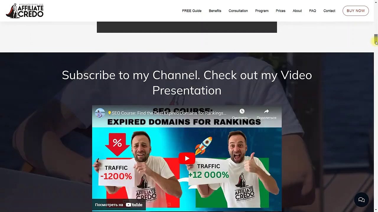 How to Use Expired Domains Effectivelly for SEO in 2023(SEO Method)